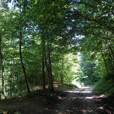 Landhuis La Mia Casa Nel Bosco