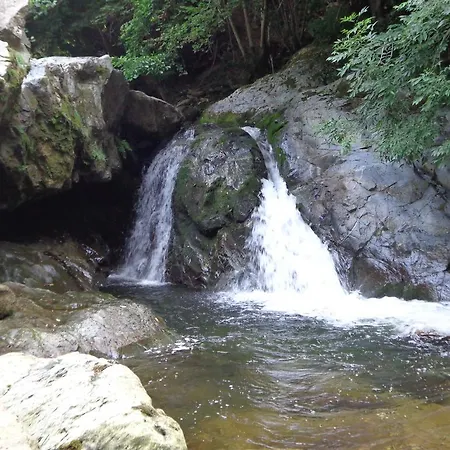 La Mia Casa Nel Bosco *