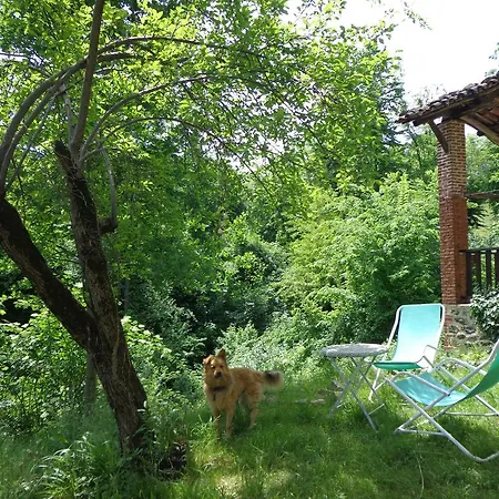 La Mia Casa Nel Bosco * Netro