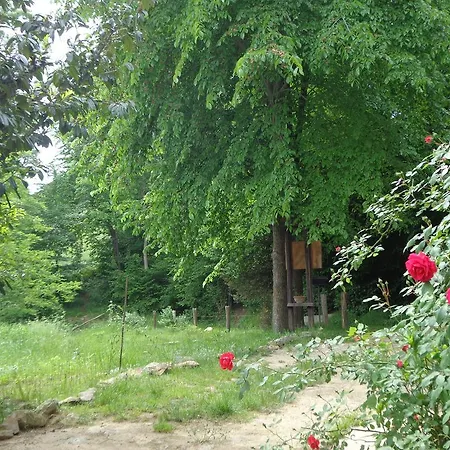 Landhuis La Mia Casa Nel Bosco *