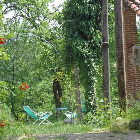 La Mia Casa Nel Bosco
