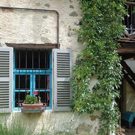 La Mia Casa Nel Bosco