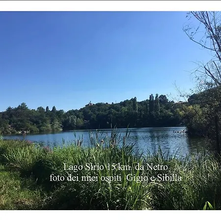 La Mia Casa Nel Bosco *