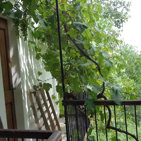 La Mia Casa Nel Bosco * Netro